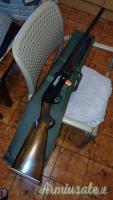 Beretta a301 20
