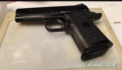 Para Ordnance 12-45 .45 ACP