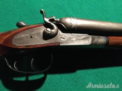 Bernardelli a cani esterni 12