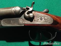 Bernardelli a cani esterni 12