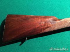 Bernardelli a cani esterni 12