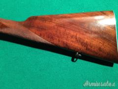 Bernardelli a cani esterni 12