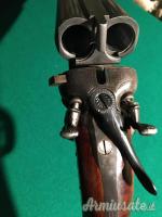 Bernardelli a cani esterni 12