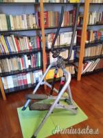 Toorx Stepper Compact