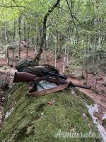 Sauer 202 stutzen .270 Winchester