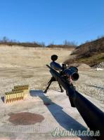 Remington 700 police .308W