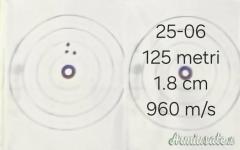 Blaser R 93 .25-06 Remington
