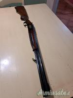 Franchi Alcione sottobosco 12