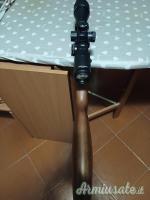 Diana 350 magnum ...Altro