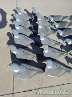 Stampi Colombaccio a conchiglia