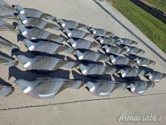 Stampi Colombaccio a conchiglia