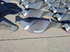 Stampi Colombaccio a conchiglia