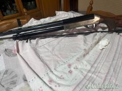 Benelli Raffaello 12