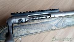 Savage 12 .223 Remington