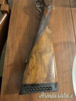 Zanotti Piccione Tipo Boss  12