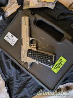 Kimber Stainless TLE II .45 ACP