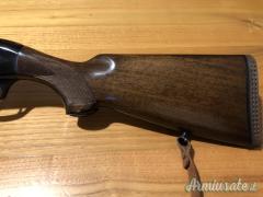 Beretta A301 12