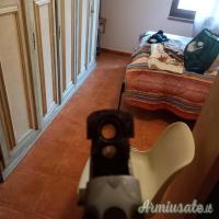 Beretta 303,sovrapposto zoli e doppietta Bernardelli