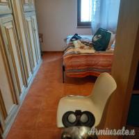 Beretta 303,sovrapposto zoli e doppietta Bernardelli