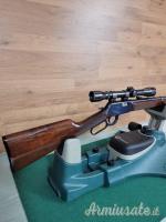 Winchester 9422 .22 Long Rifle