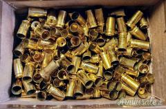 Bossoli 45 acp large