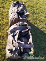 Stampi di Germano da campo GHG