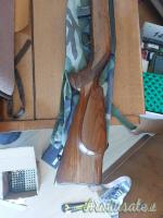 Beretta Watherby  .22 Long Rifle