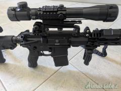 Ruger | Sturm 556 .223 Remington