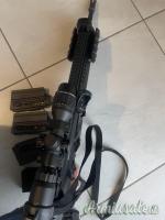 Beretta Arx .22 Long Rifle