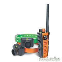 Dogtra T&B Dual Training e Beeper E-Collar