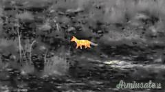 INFIRAY TUBE HD TS60 (Nuovo)