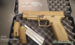 HS PRODUKT    SF19  4.5    FDE 9x21mm IMI