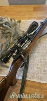 BRNO CZ .243 Winchester