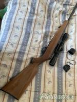 Beretta Sport .22 Long Rifle