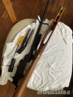 Beretta Sport .22 Long Rifle