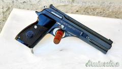 Beretta 76 .22 LR Long Rifle