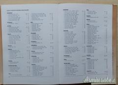 IDENTIFICAZIONE  ARMI LUNGHE D'ORDINANZA  1841-1890 E 1890-1955