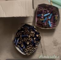 Vendo cartucce calibro 12 e attrezzatura ricarica