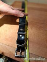 Collare educativo con stimolazione elettrica modello DOGTRA ARC800