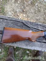 Beretta 301 semiautomatico 12