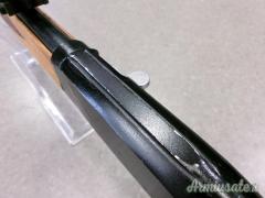 HIGGINS 30 CAL 22 LR  RIF V194  ARMIUS_6450