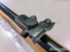 HIGGINS 30 CAL 22 LR  RIF V194  ARMIUS_6450