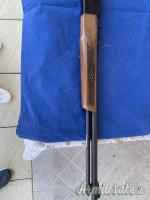 Winchester 290 calibro .22 Long Rifle