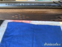 Winchester 290 calibro .22 Long Rifle