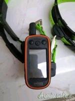 Collari Garmin Alpha 100 più 4 colletti Tt15.