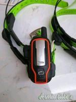 Collari Garmin Alpha 100 più 4 colletti Tt15.