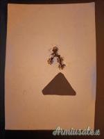 Remington 700 SPS Tactical .223 Remington