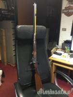 ...Altro | Non elencato Springfield  .45-70 Government