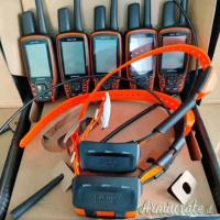 Garmin Astro 320/T5 collare 350