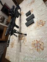 Diamondback Db10 black gold .308 Winchester